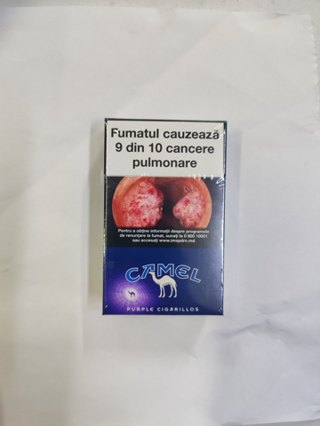 Camel purple 